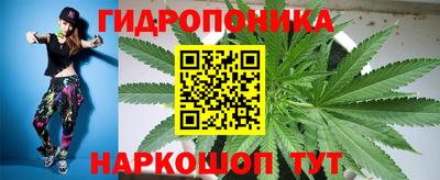 ГАЛЛЮЦИНОГЕННЫЕ ГРИБЫ Пушкино