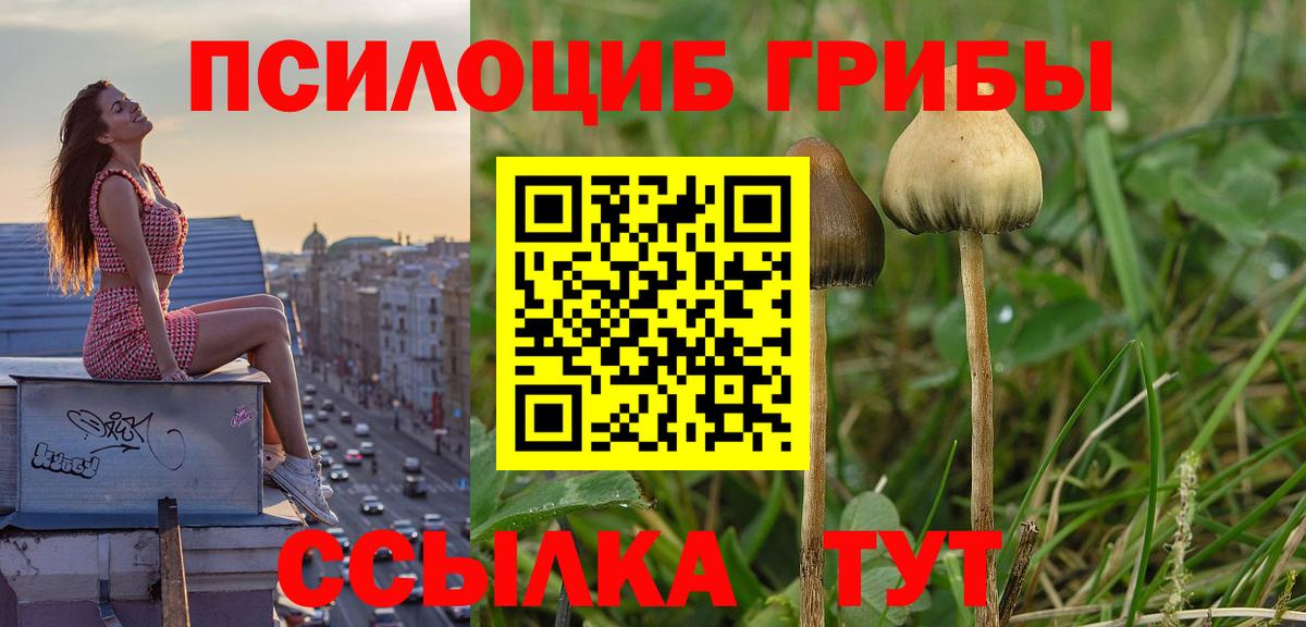 как найти наркотики  Галлюциногенные грибы ЛСД  Галлюциногенные грибы Cubensis  Вход с VPN  Россия 